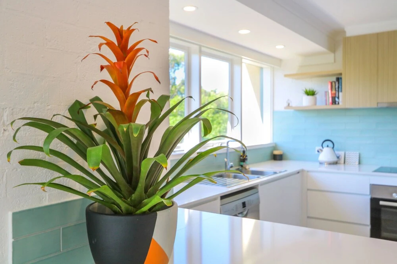 Kingscliff Private Beachfront Accomodation