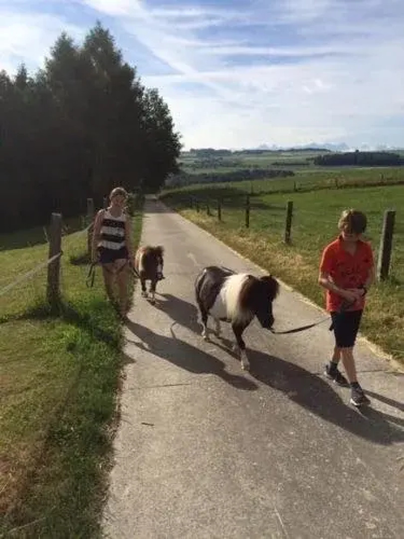 Cabane dans les arbres / Swin-golf de Cremin