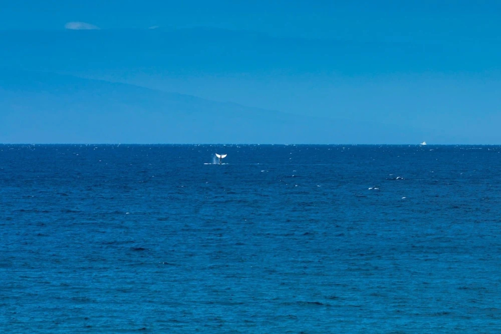 Polo Beach Club Two Bedrooms - Ground Floor by Coldwell Banker Island Vacations