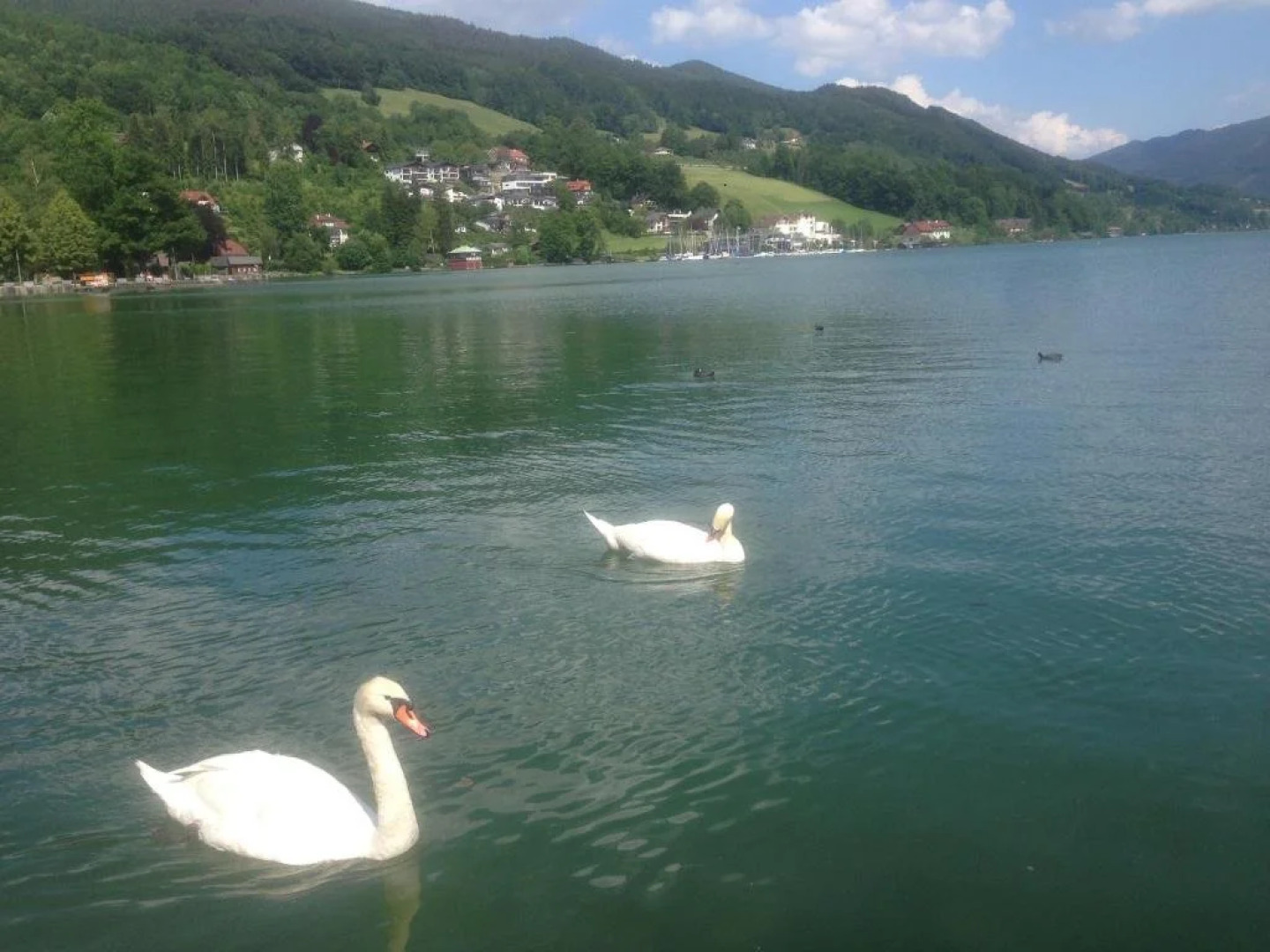 Privatzimmer Stabauer