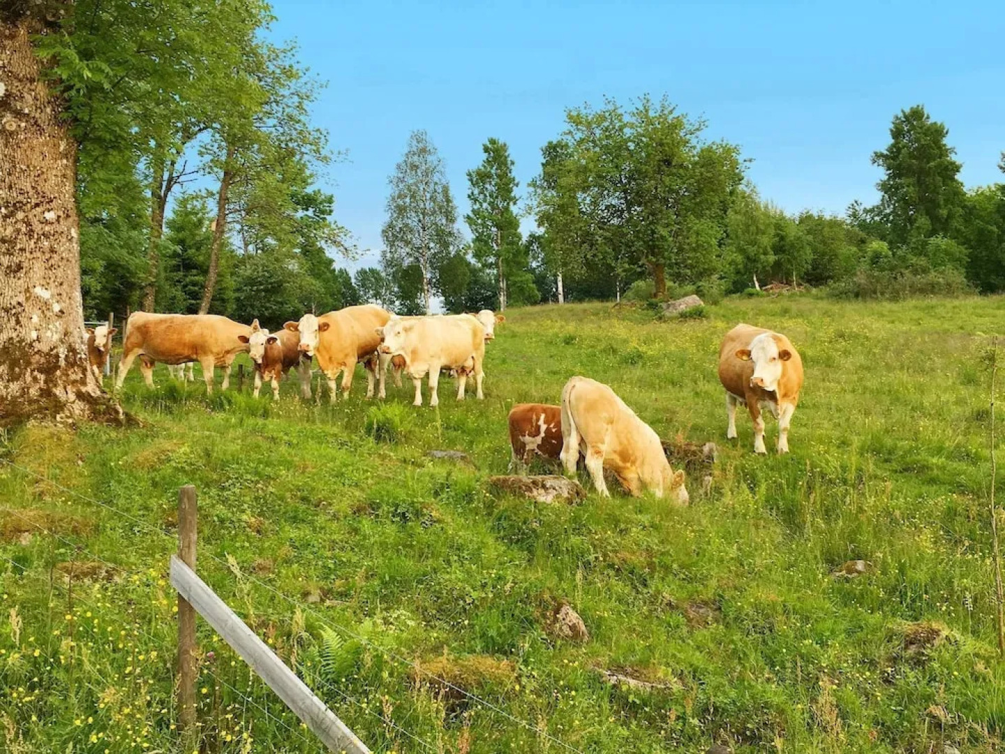 6 Person Holiday Home in Ulricehamn