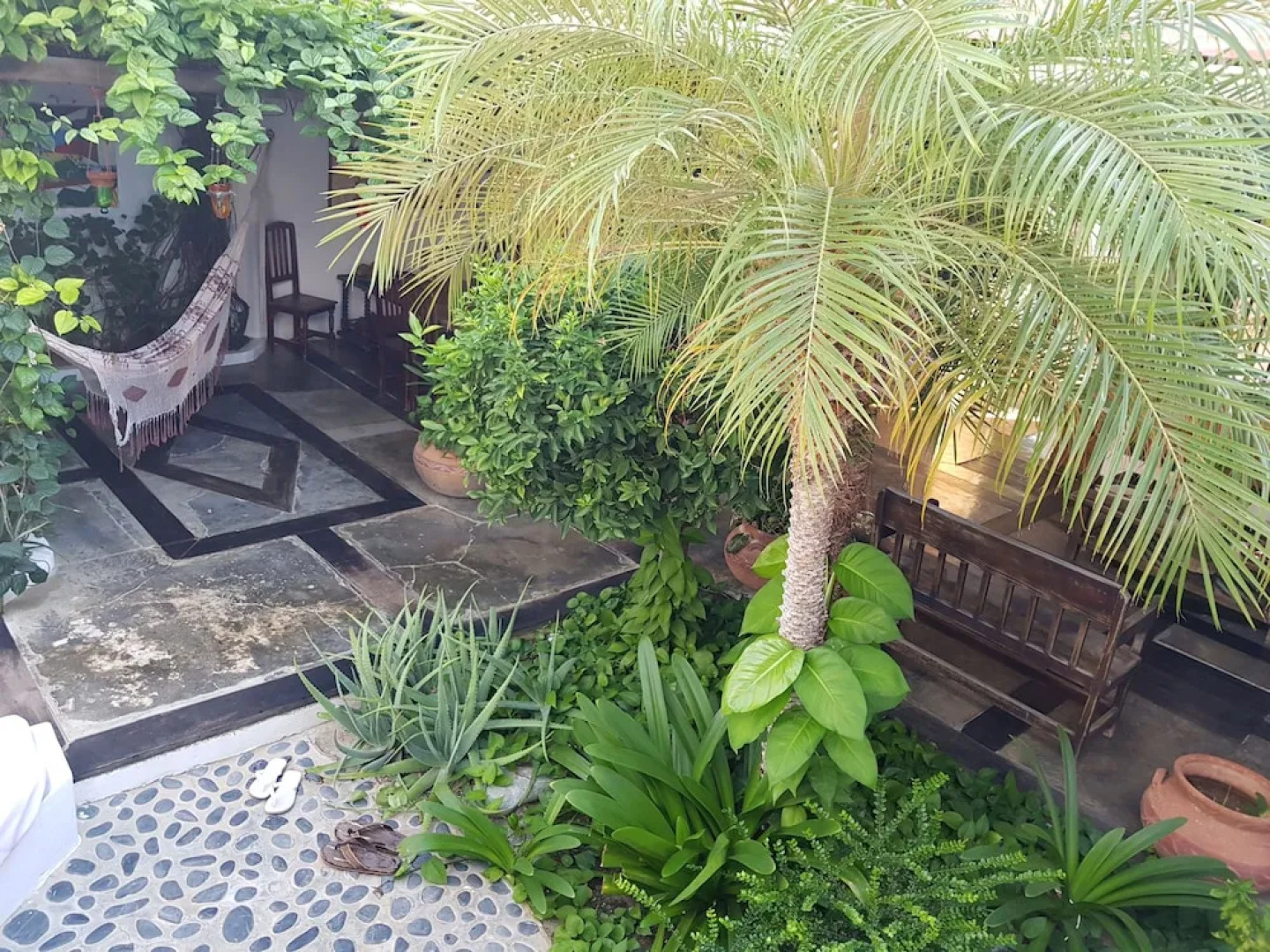 Los Roques Posada Piano y Papaya