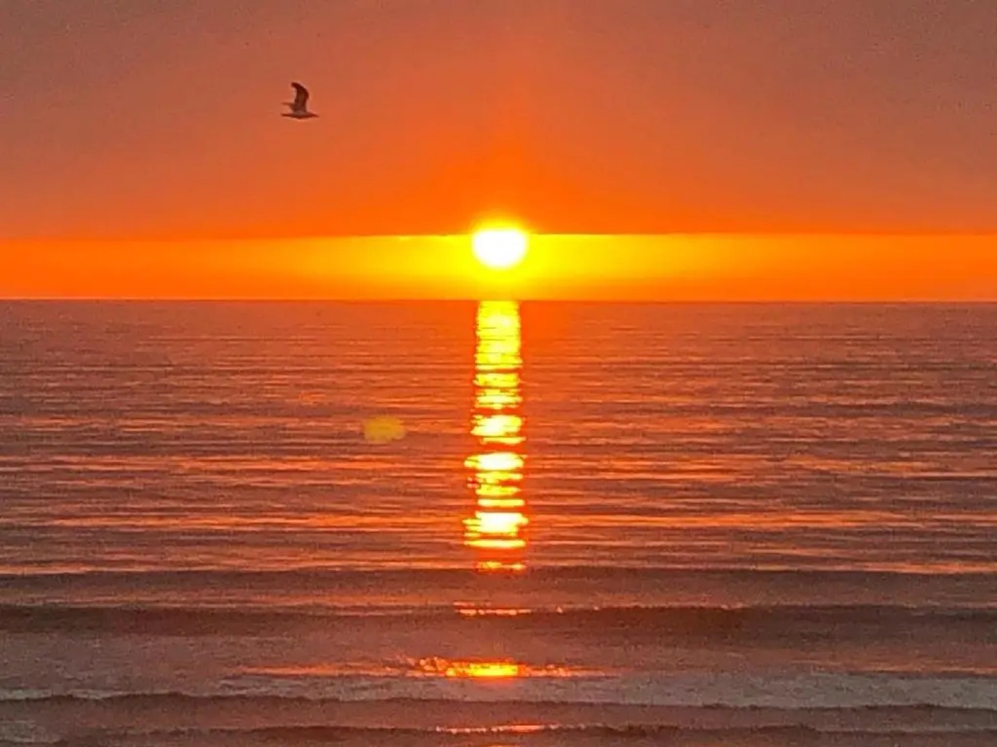 Departamento La Serena Avenida Del Mar