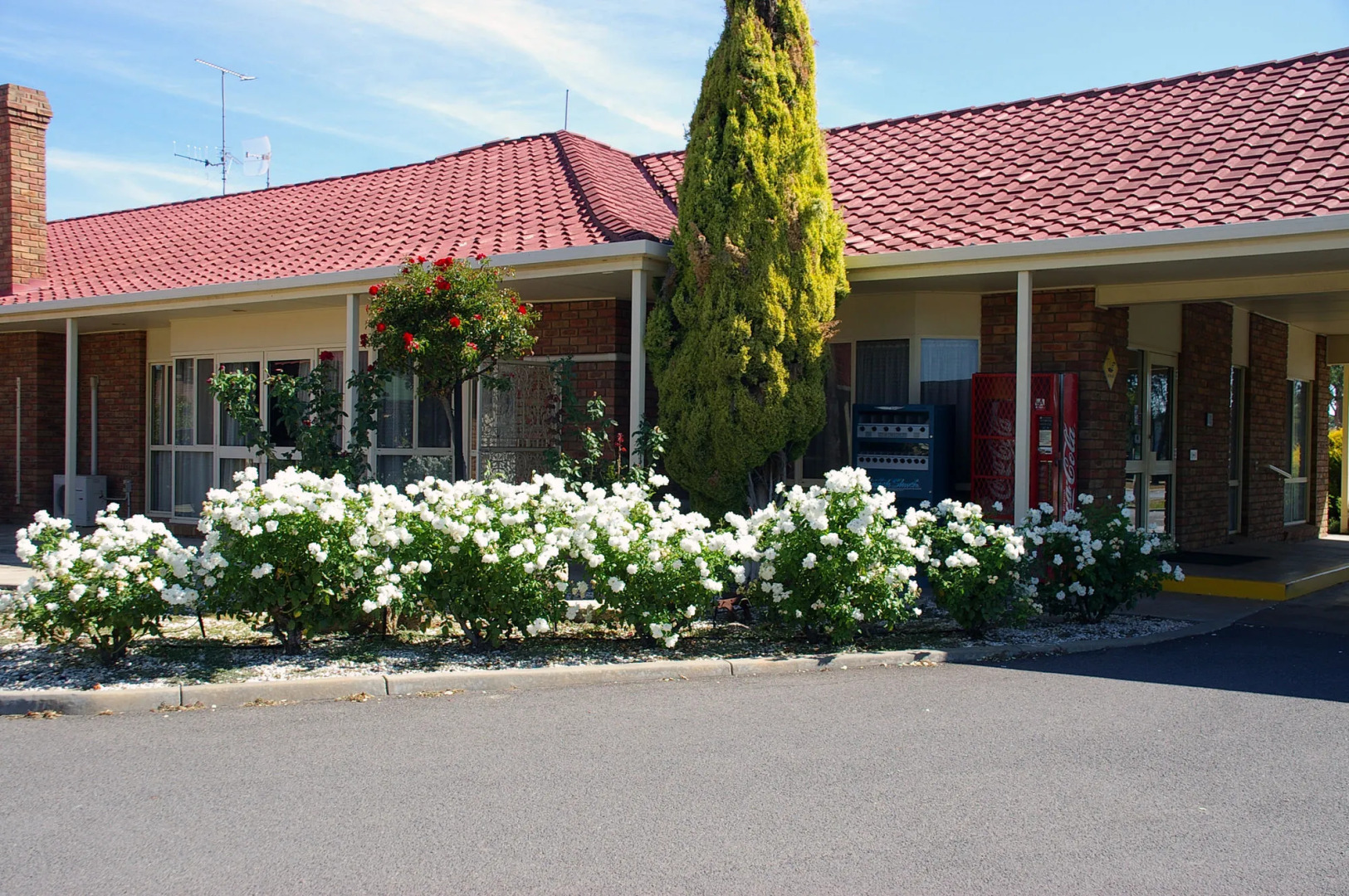 Pines Country Club Motor Inn