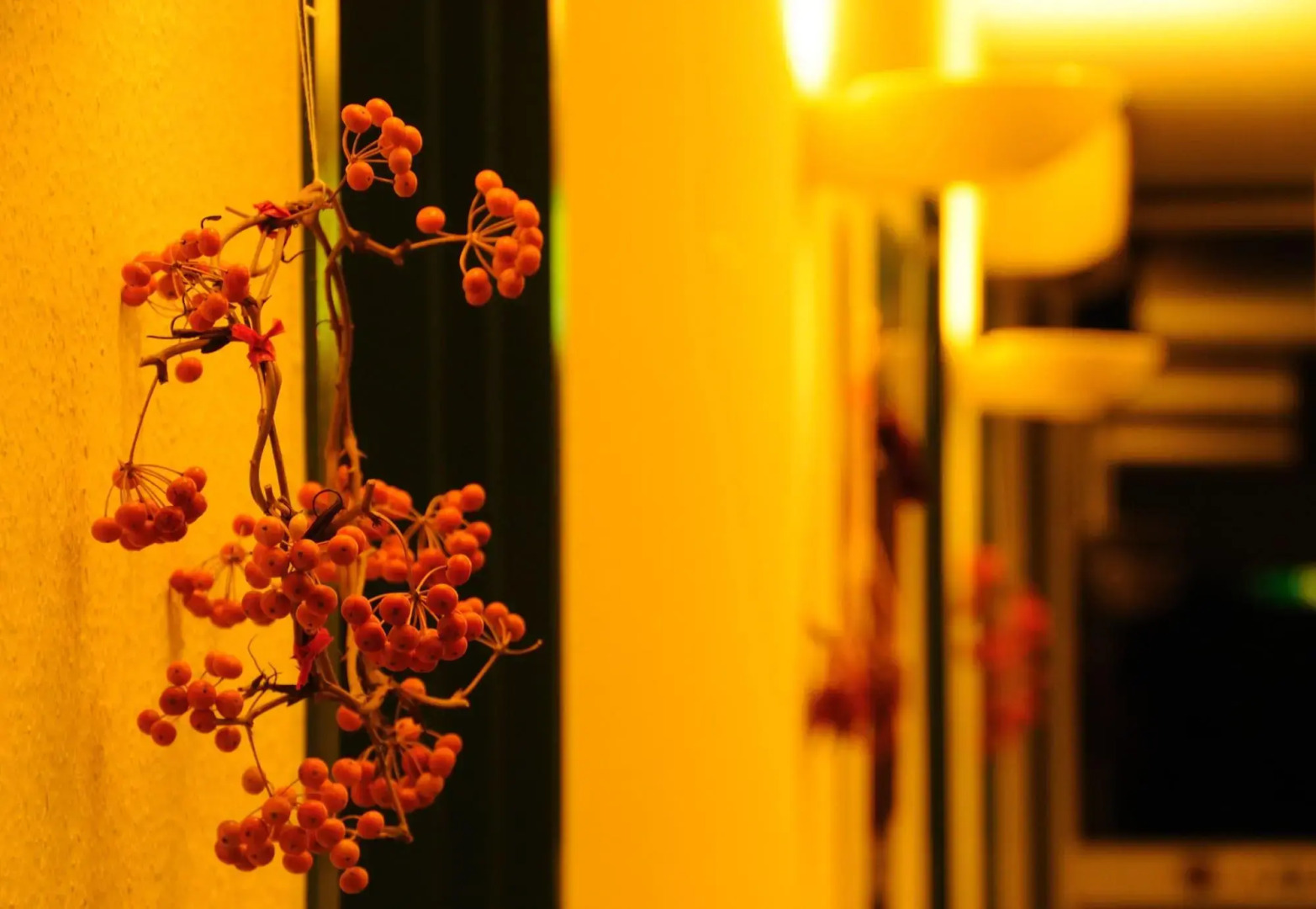 Petit Resort Hotel Alcyon