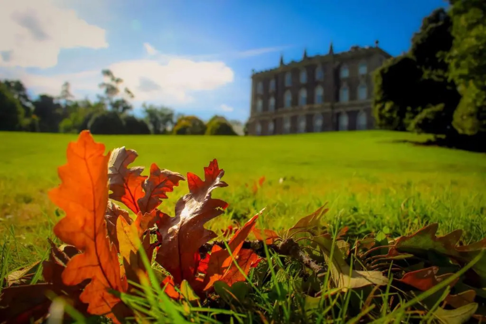 The Alms House Strangford