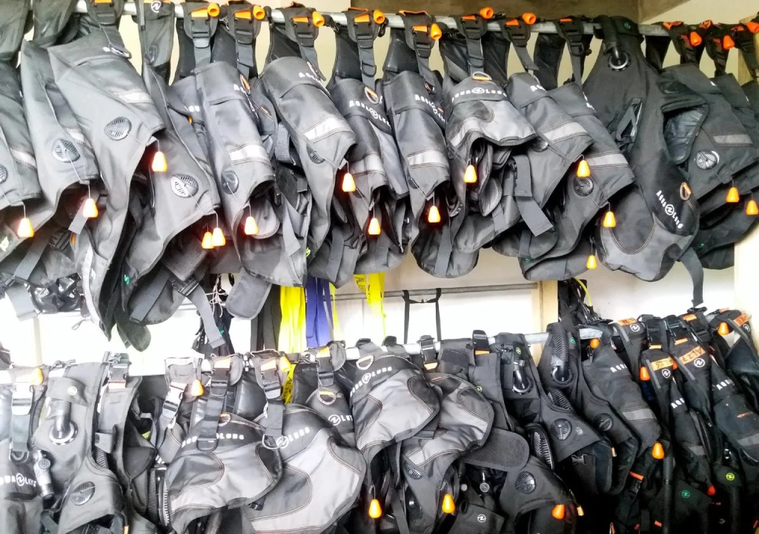 Allegria Dream Resort