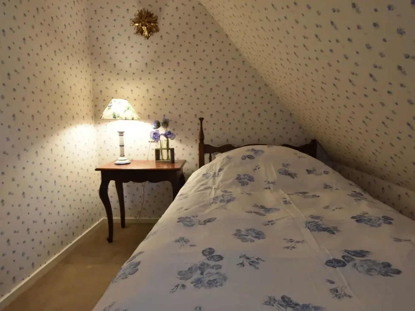 Villa in Ommen With Private Pond