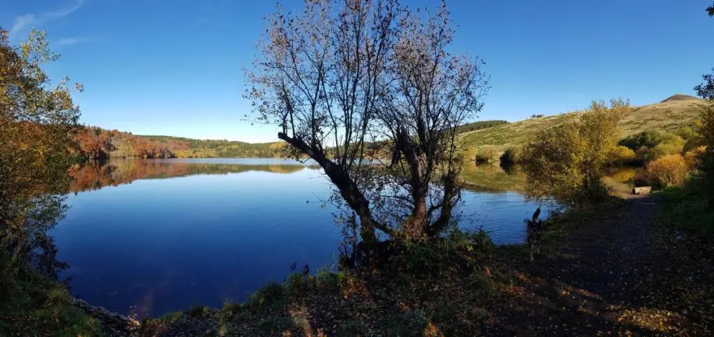 La Maison des Familles 10 appartements