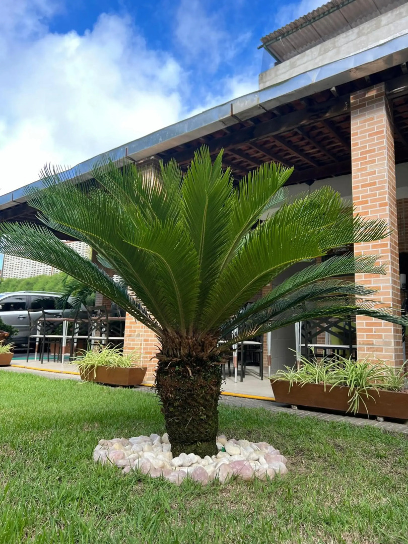 Shalon Olinda - Pousada