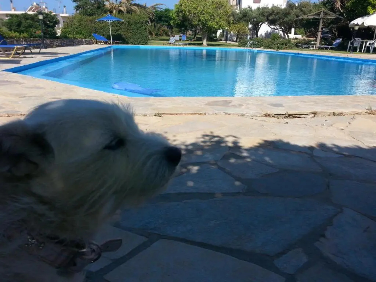 Viena Rooms & Apartments