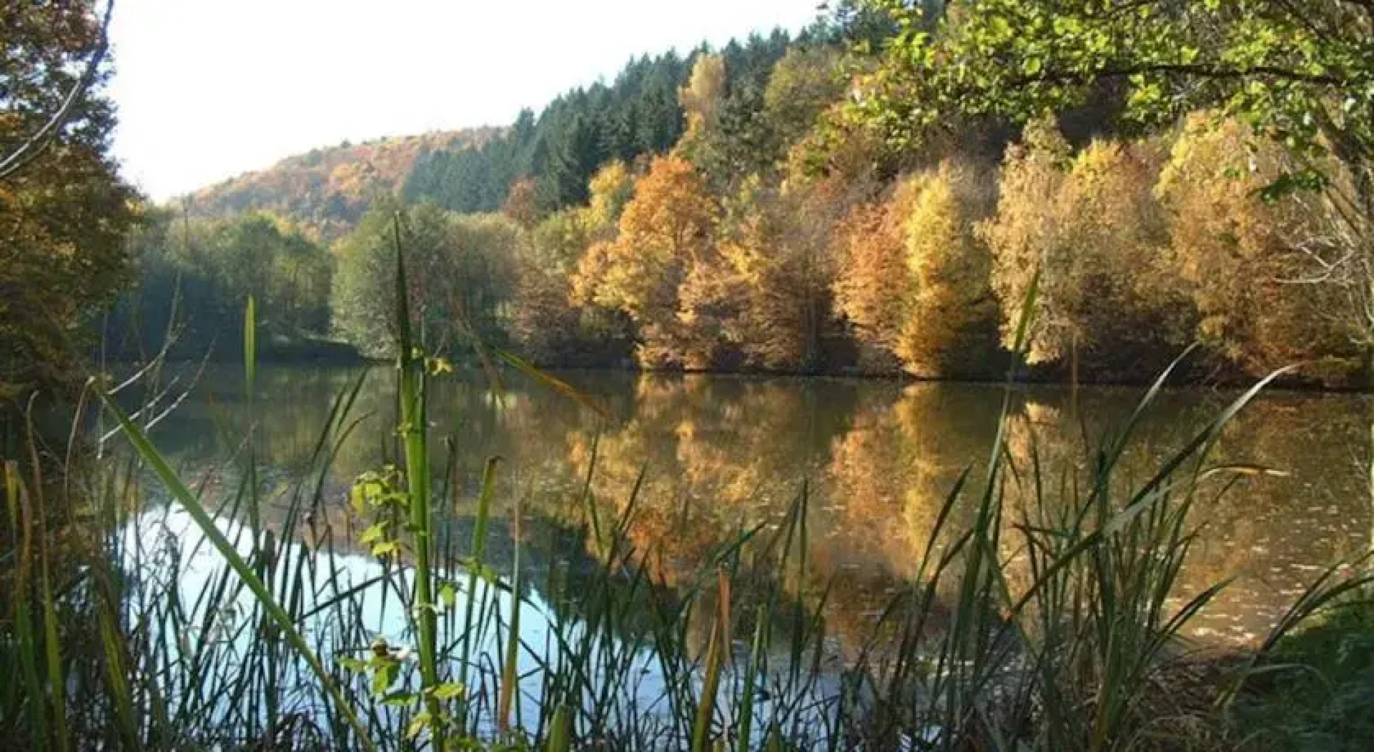 Sporthotel Erbismühle