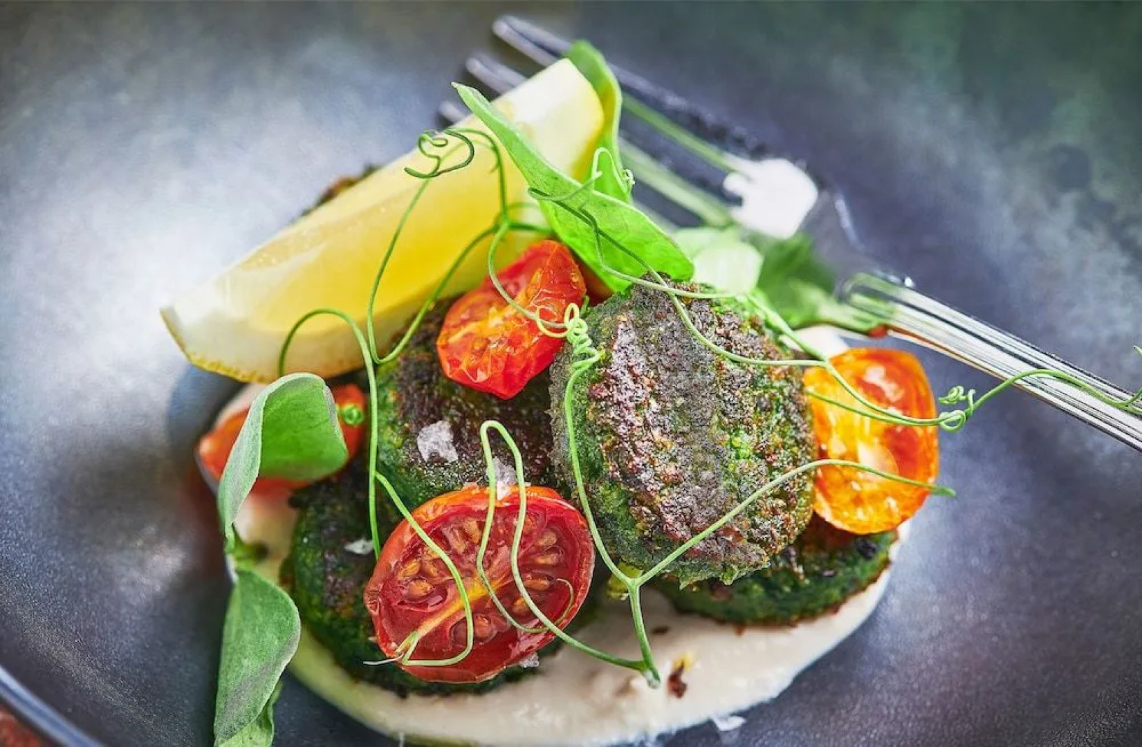 Canyon Ranch Health Resorts Tuscon