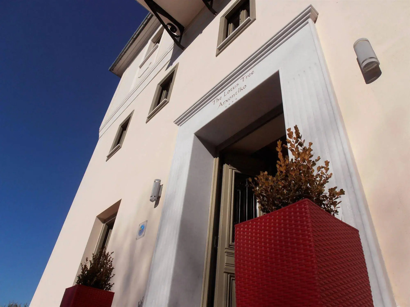 The Lotus Tree Archontiko