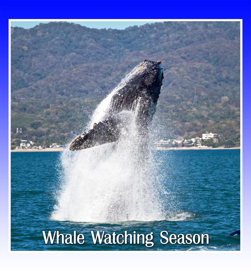 Casa Valeria Boutique Hotel