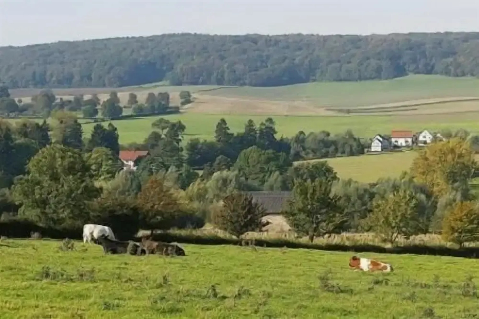 Heuvelrijk Berg en Dal