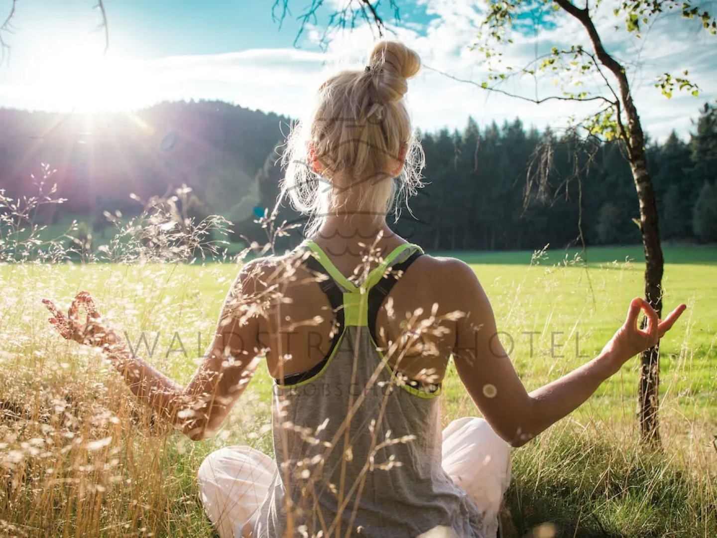 Waldstrand-Hotel Großschönau