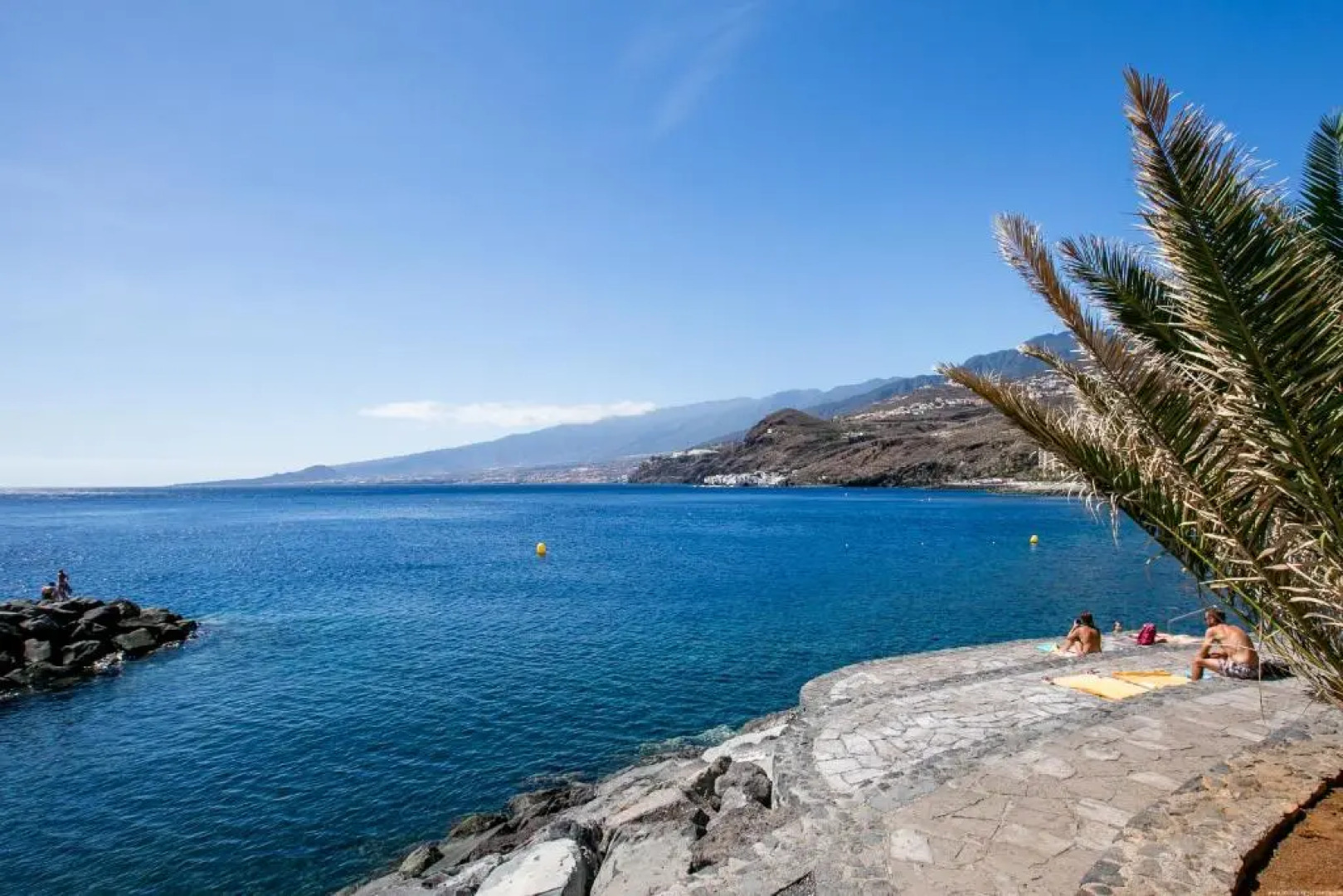 Tabaiba Alta 180 degrees views