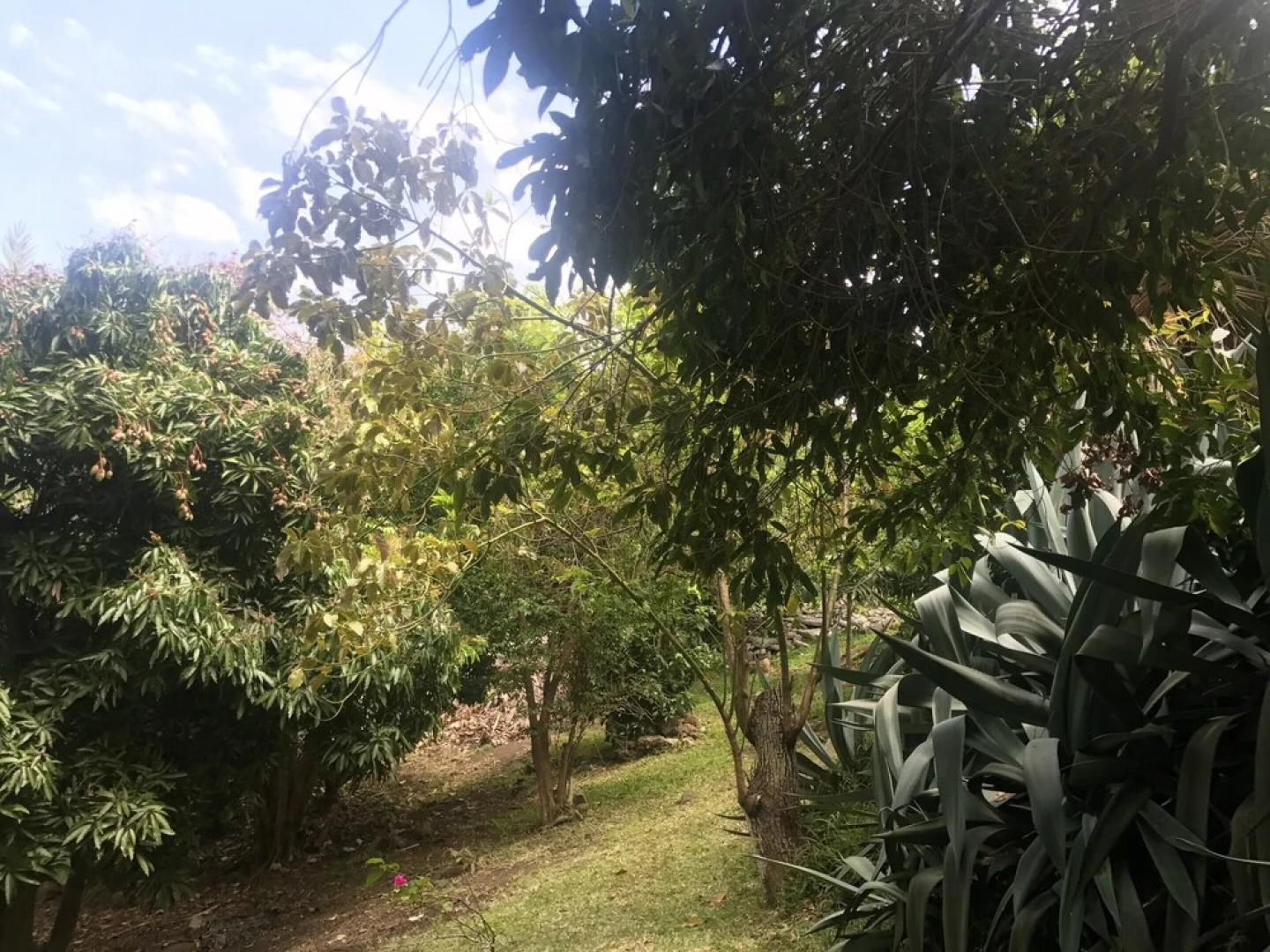 Bungalow With one Bedroom in Ruisseau, With Wonderful sea View, Pool A