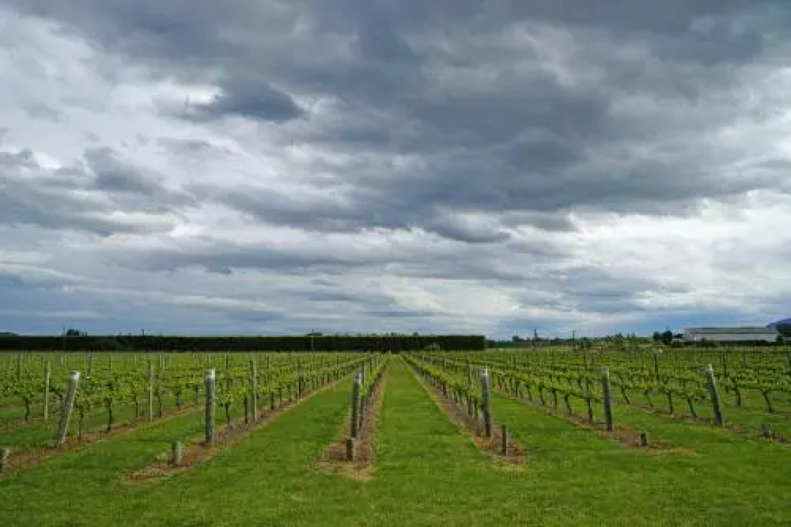 Dunnolly Vineyard Bed & Breakfast