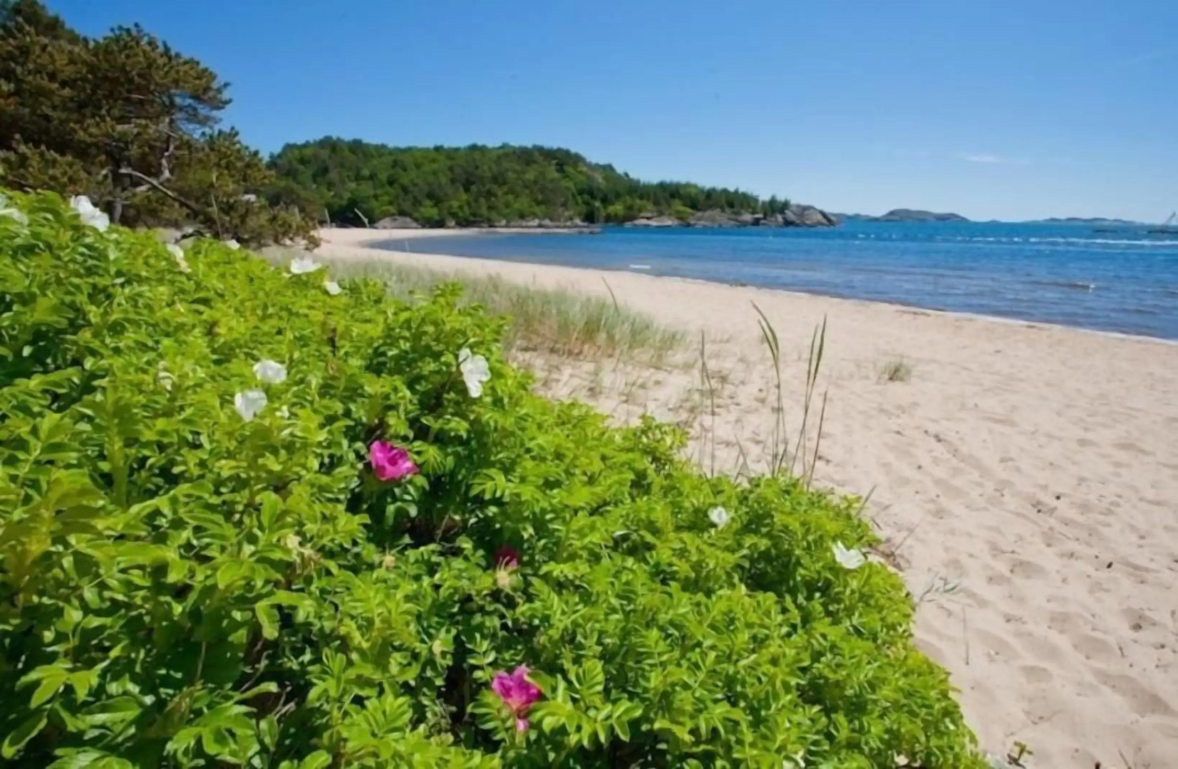 Topcamp Sjøsanden - Mandal