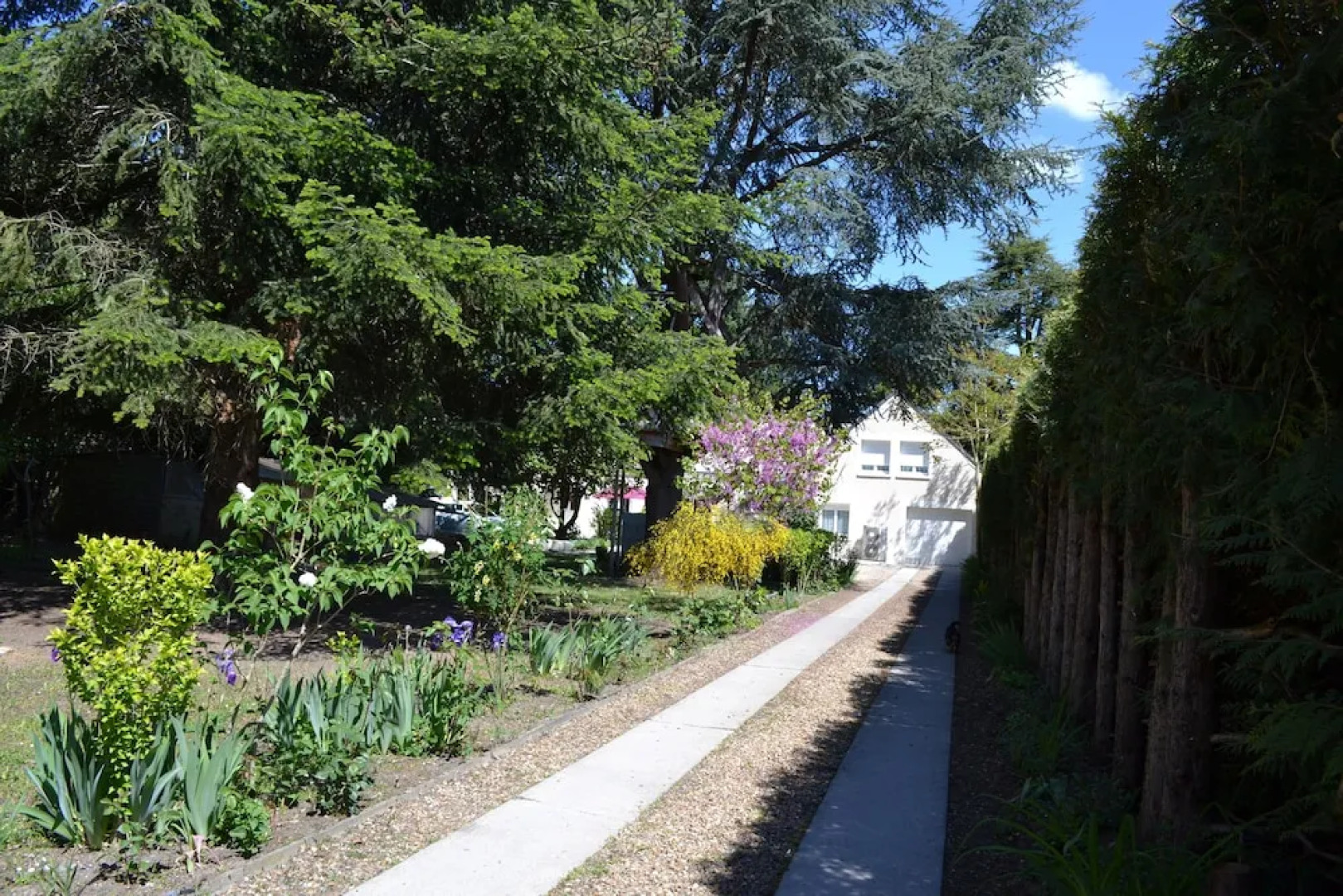 La maison des écureuils