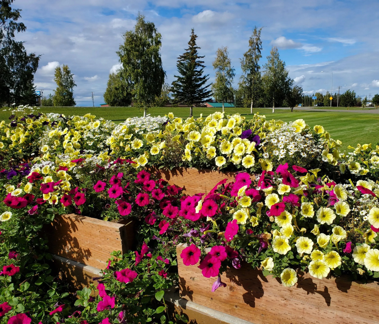 Delta Accommodations-Alaska Country Inn