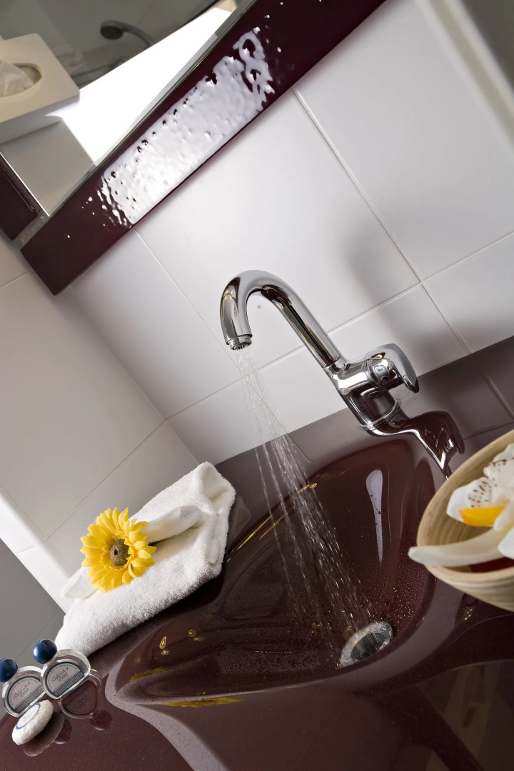 Splendid Hôtel Camargue