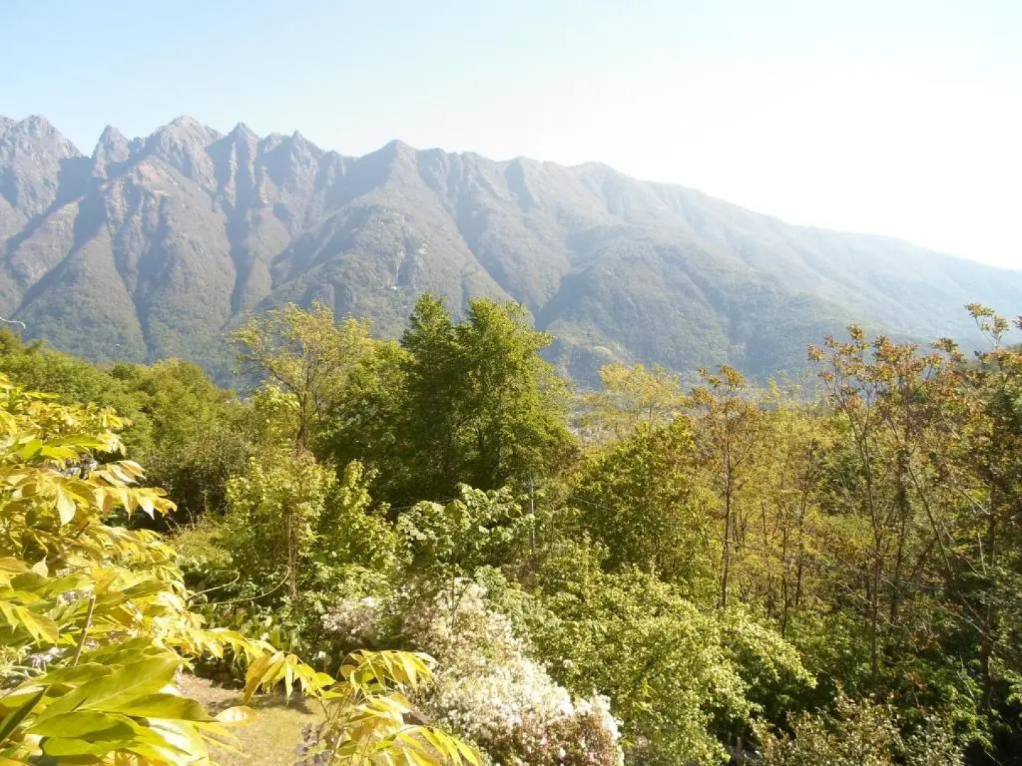 Antica Trattoria del Boden