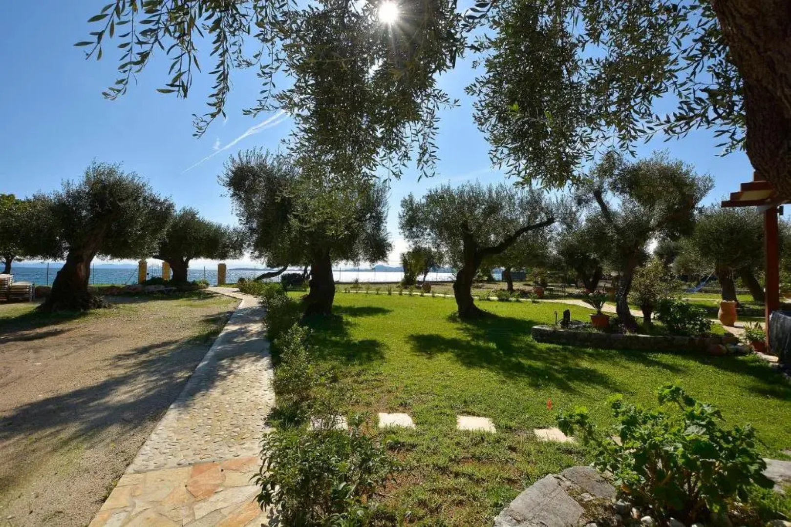 Renata Rooms & Studios