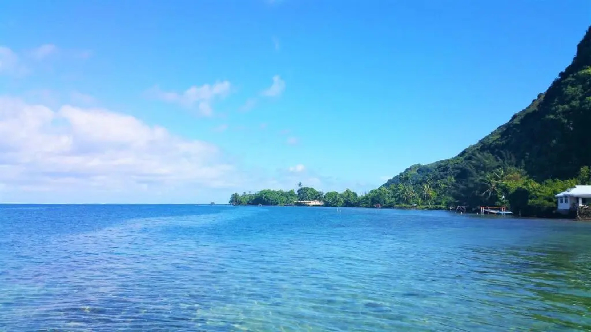 TAHITI - Studio Tiamao Nato