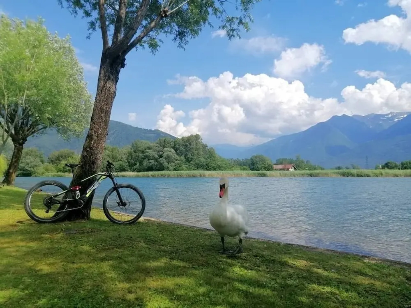 LA VALIGIA bed & bike