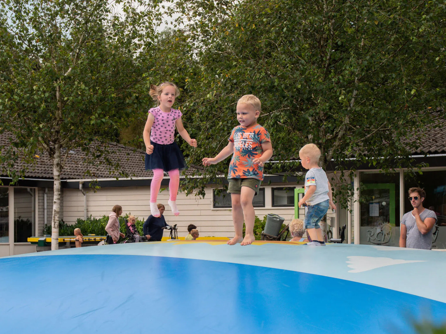 Nice Chalet With AC, on the Drents-friese Wold