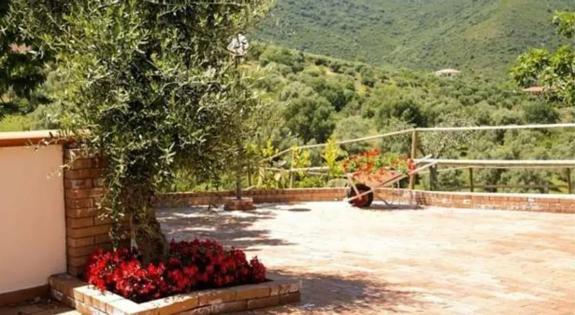 B&B Miglino
