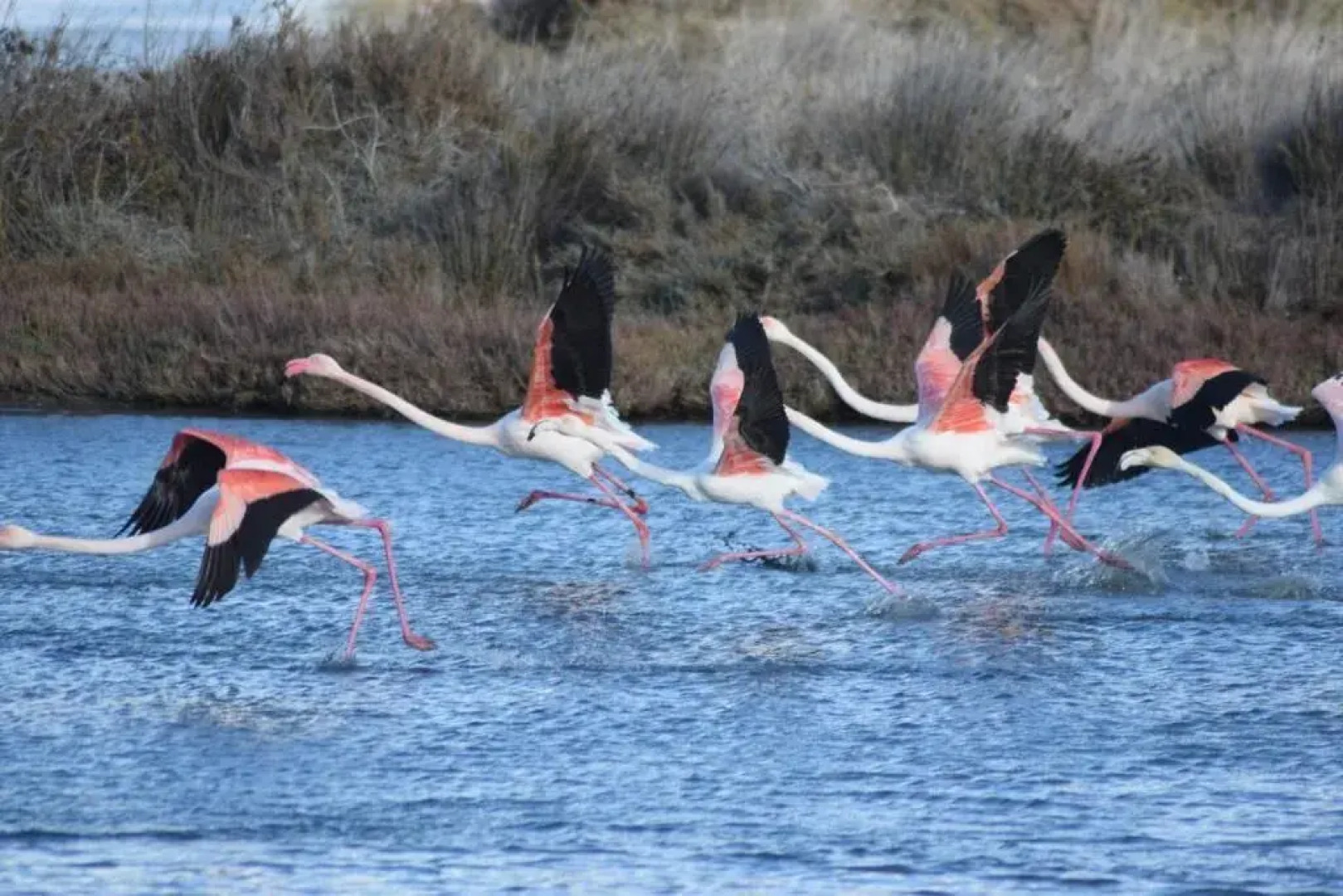 Residenza Al Castello