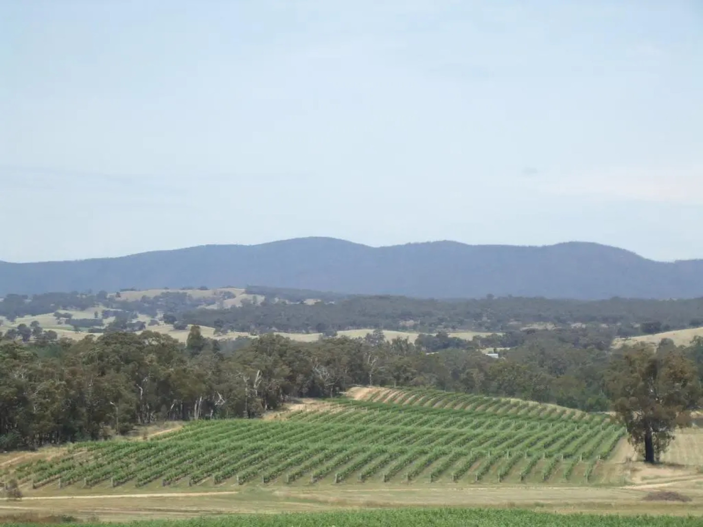 Summerfield Winery and Accommodation