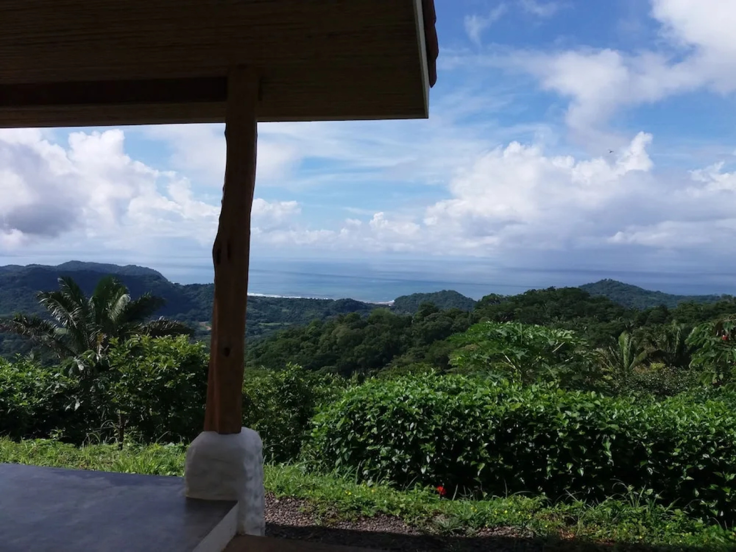 Hotel Peace & Lodge