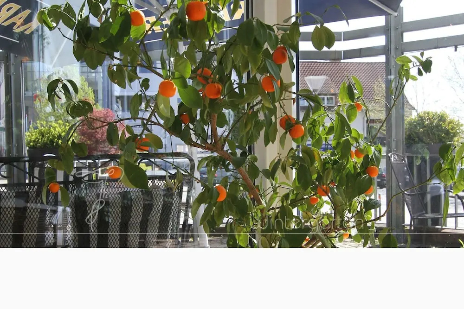 Hotellerie  Hubertus