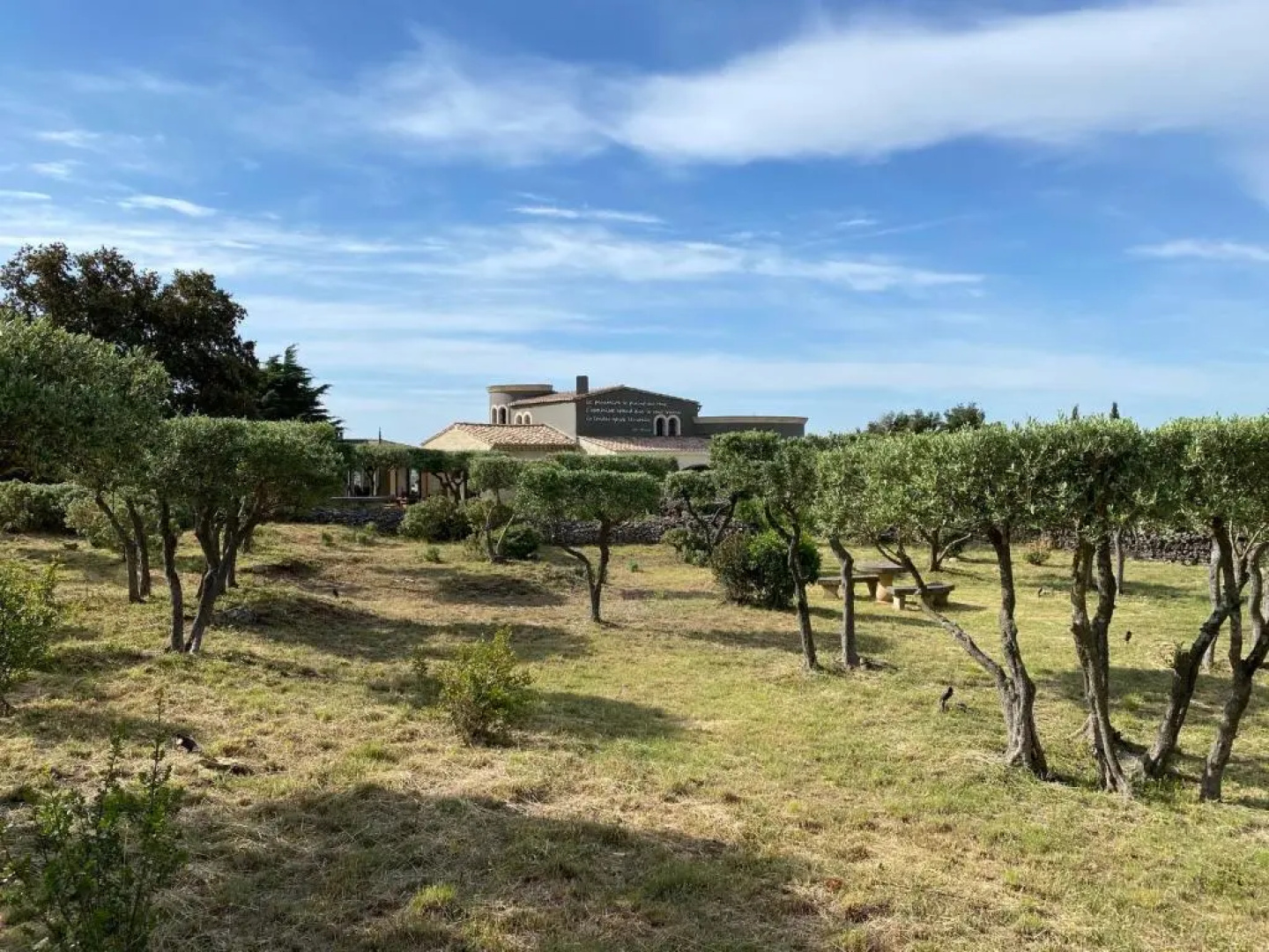 Le Club des Lézards