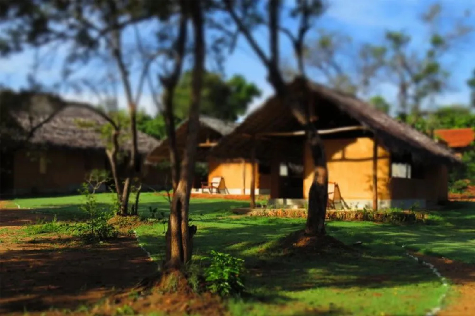 Green Ayurvedic Resort