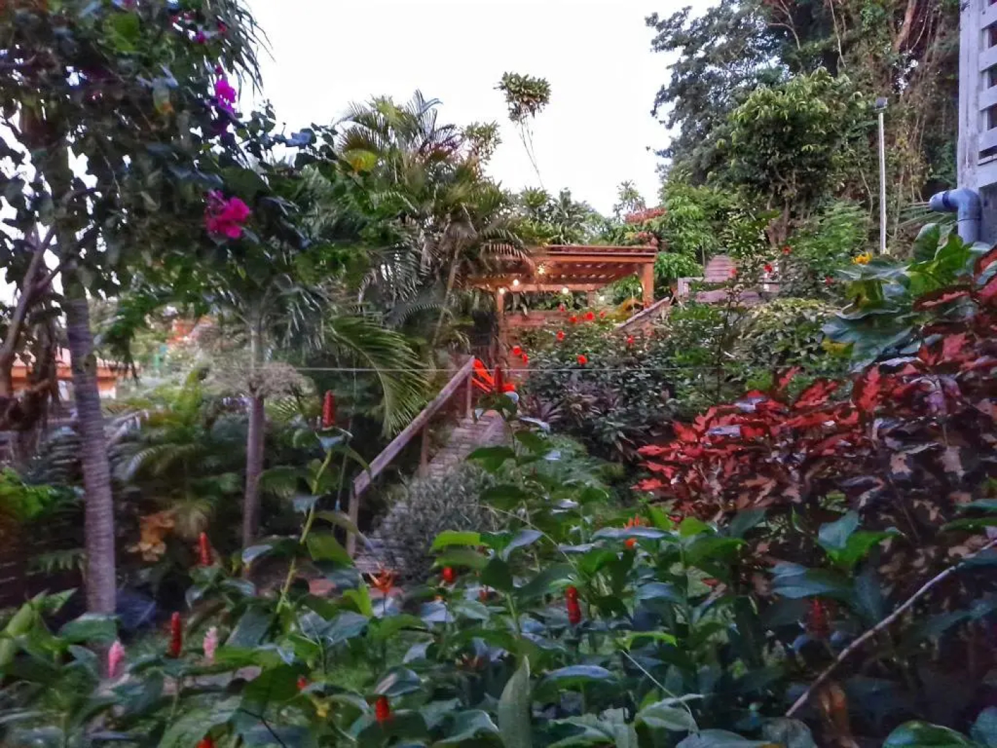 Studio Frangipani dans Villa Fleurs des Iles
