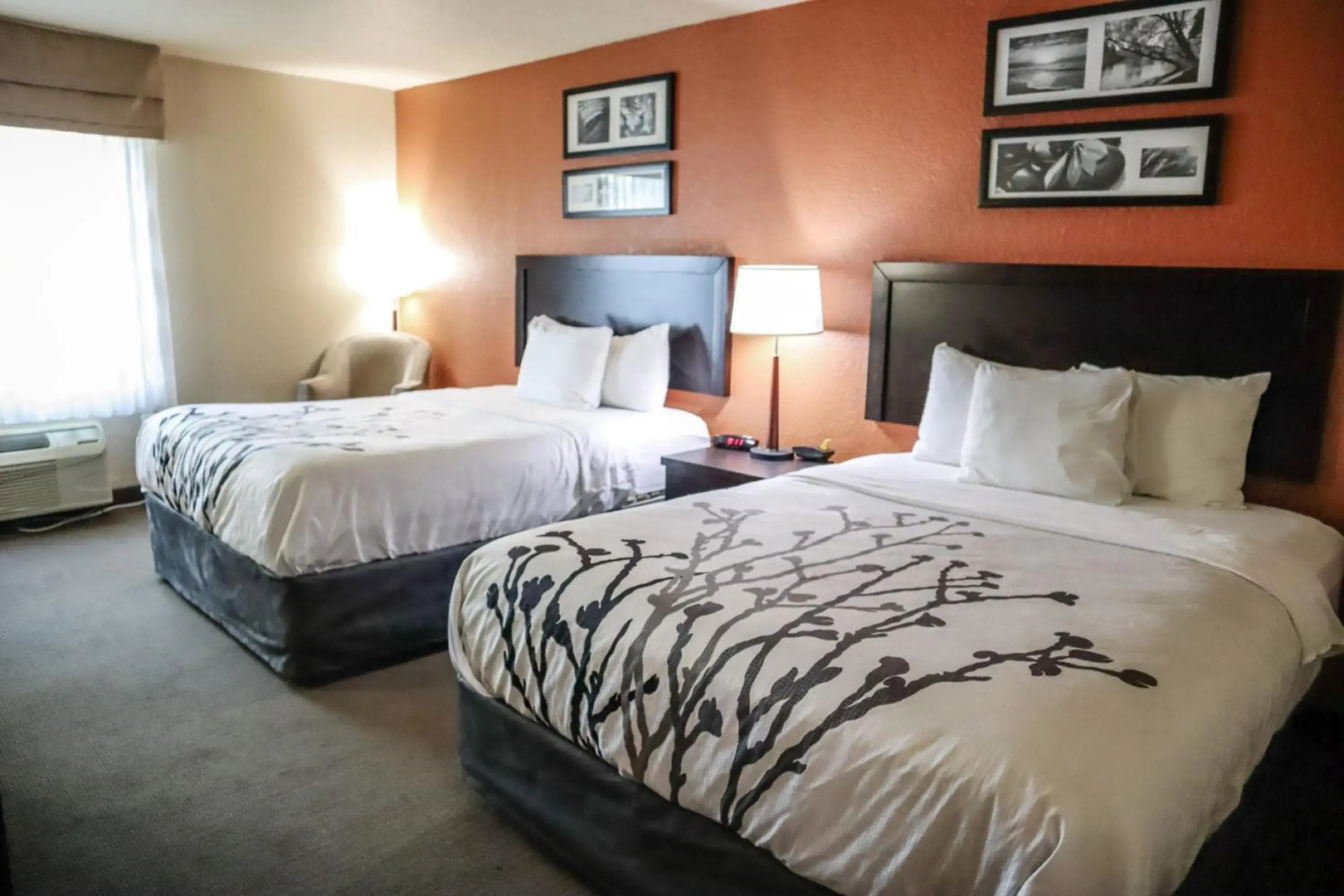 Sleep Inn and Suites - Ocala / Belleview