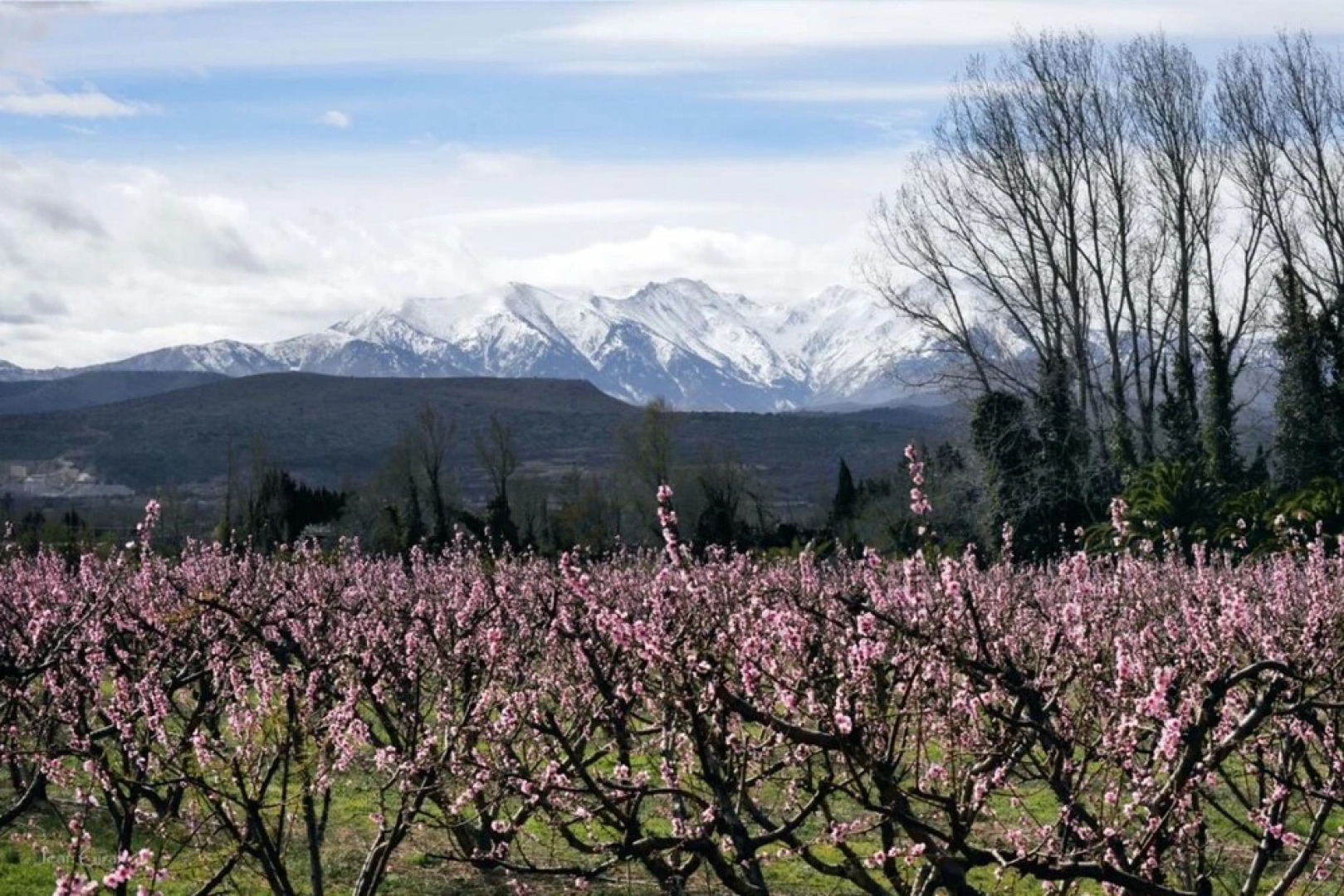 House With 3 Bedrooms in Thuir, With Wonderful Mountain View, Furnishe