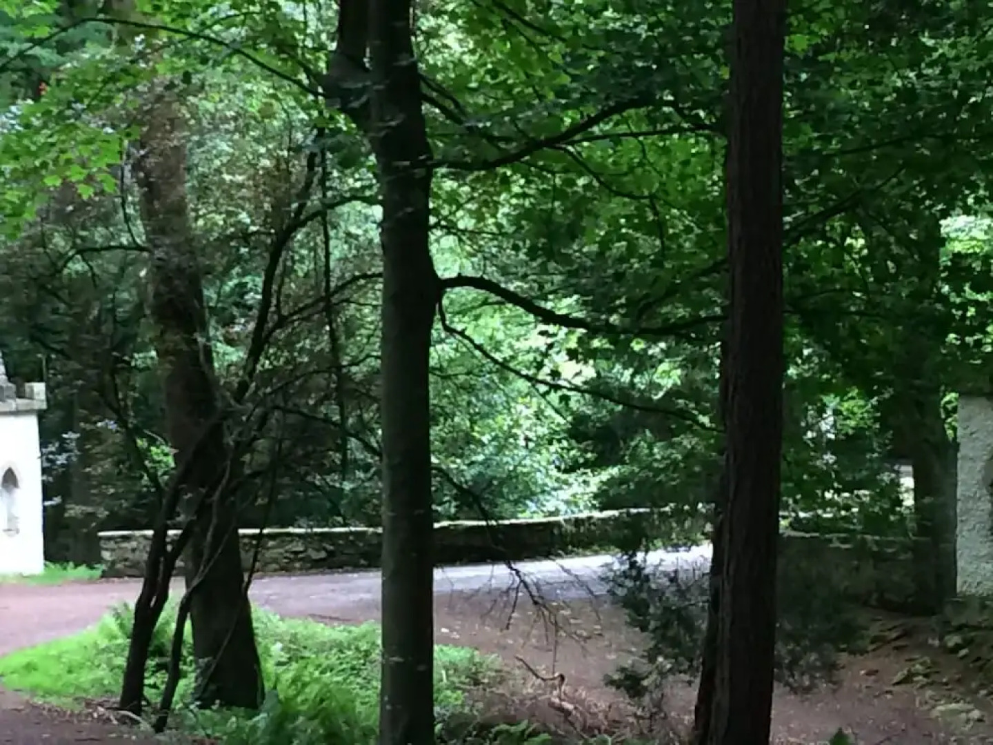 Priest Bridge Cottage