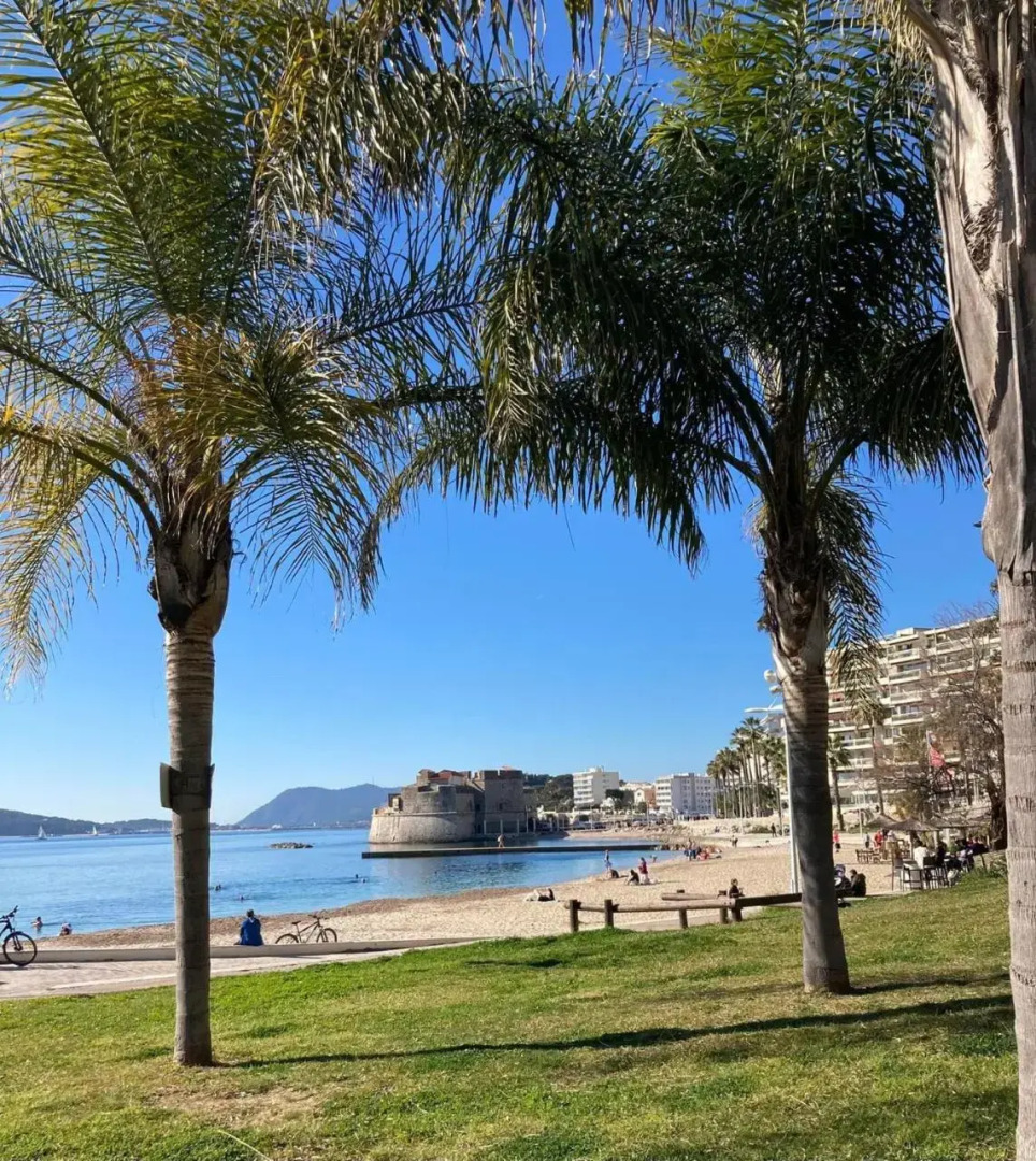 Grand T2 43m2 plages du Mourillon