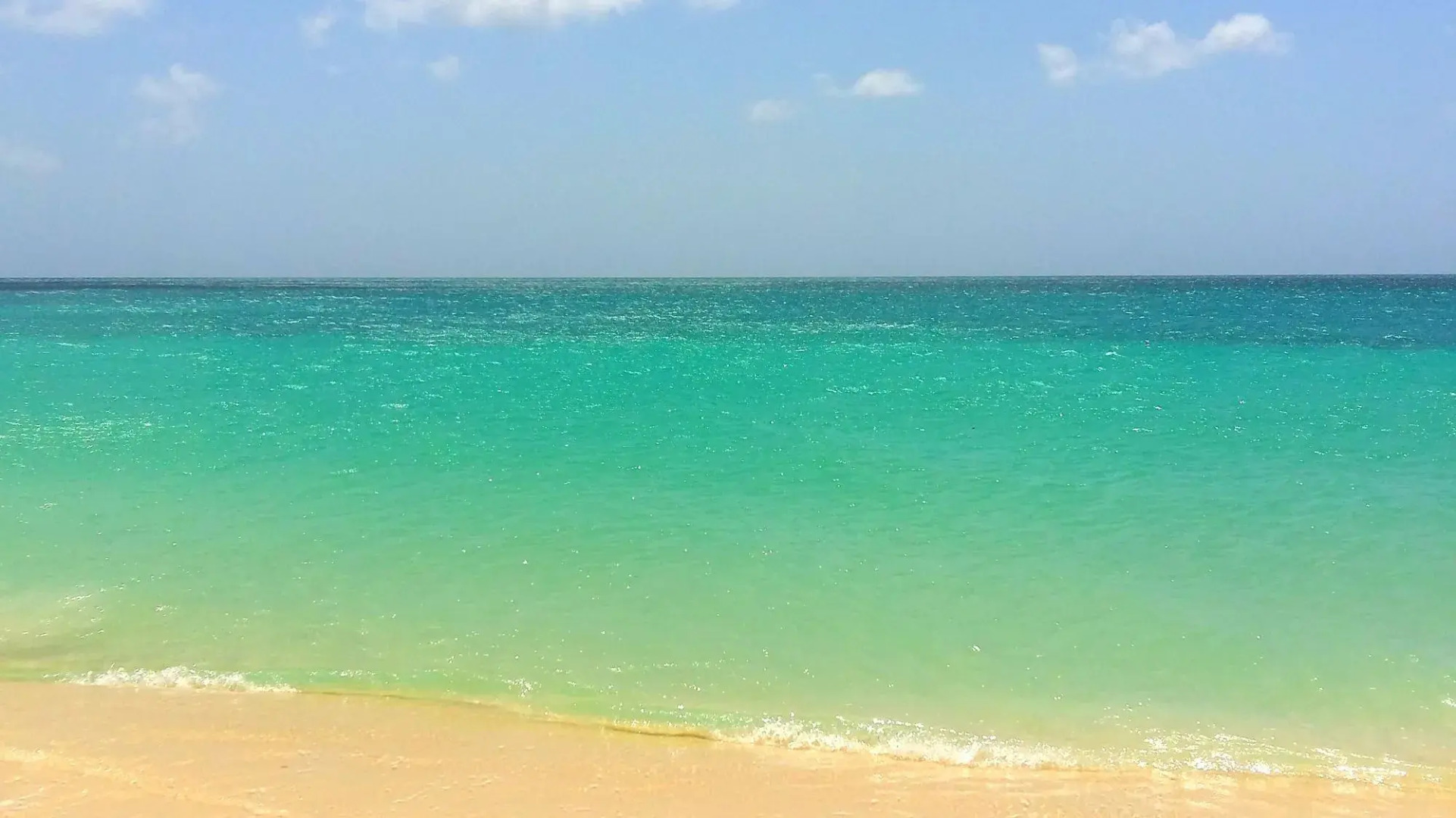 Dorado Eagle Beach Hotel