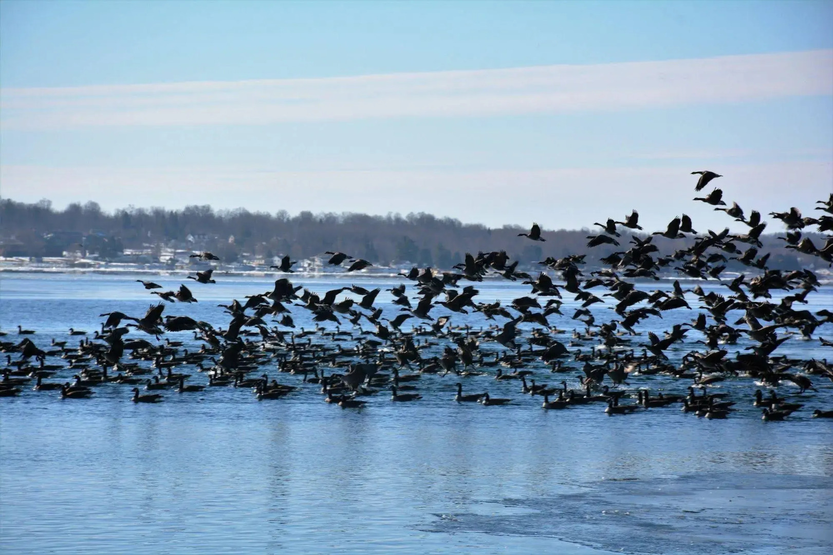 Dewar's Inn on the River