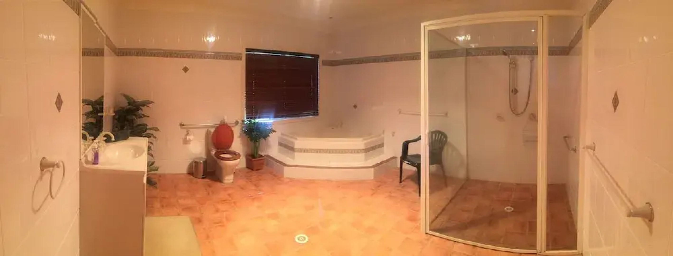 Blackwattle at Barrington Tops