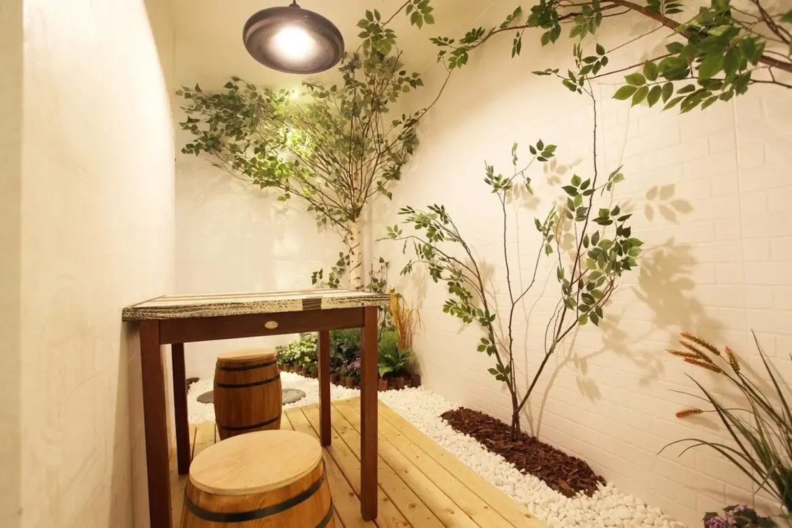 Hotel Lush