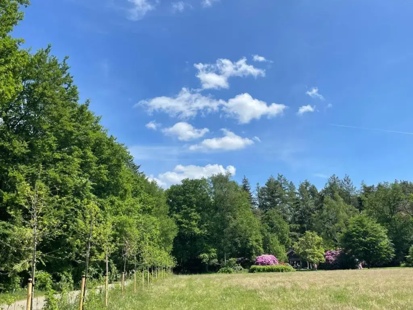 Landgoed Dennenholt - 5 unique holiday homes